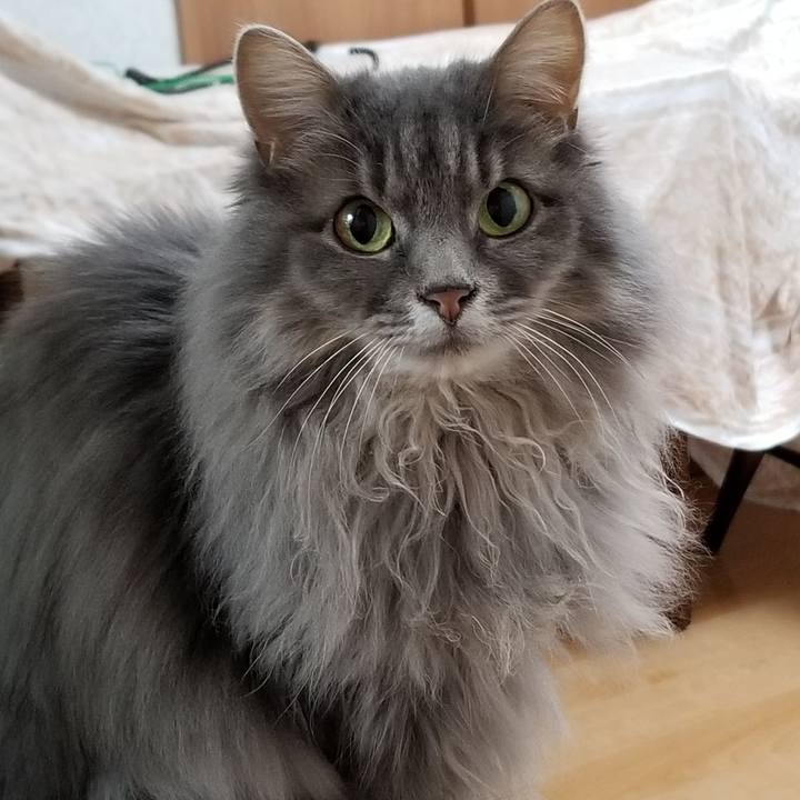 B515e657 45e4 43e6 bbe8 8b020537bc26 1578664744322