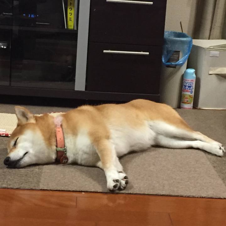 B515e909 f547 4062 8768 e7cf2a91da5a 1530797155281