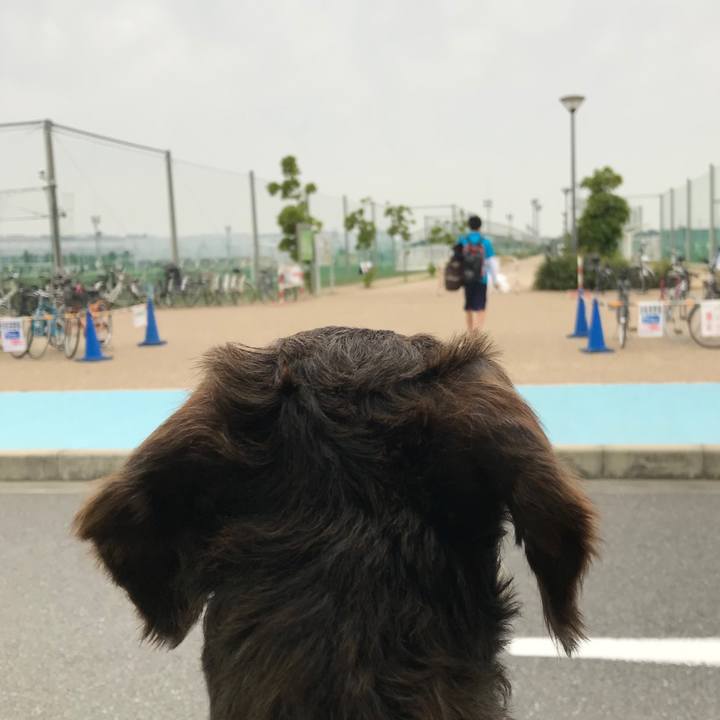 B5162dc4 995e 4761 a068 158ac754ee9b 1529710287441