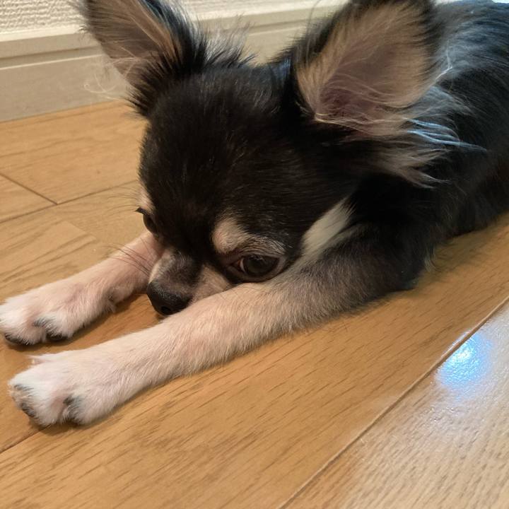 B5167d20 1a7b 4e4e a5f9 1ed60b82b44b 1600471055110