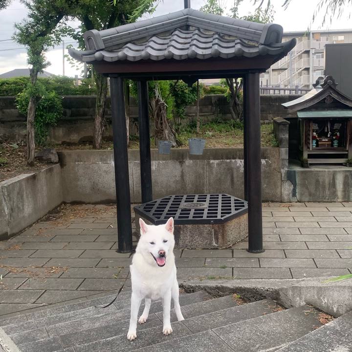 B5167fd1 8f42 436f 899e 80159758aecc 1560645477733