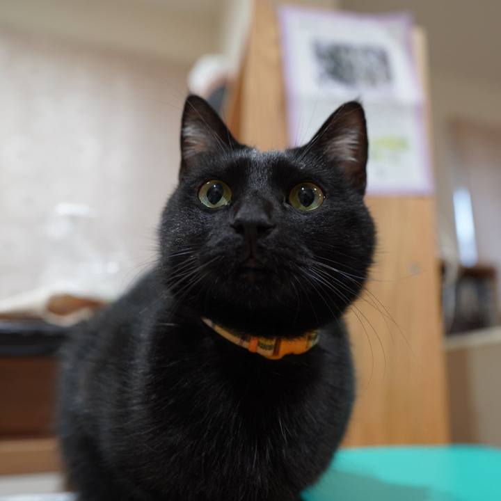 B516c803 8a84 4731 8100 4a4b86f61178 1582843690276