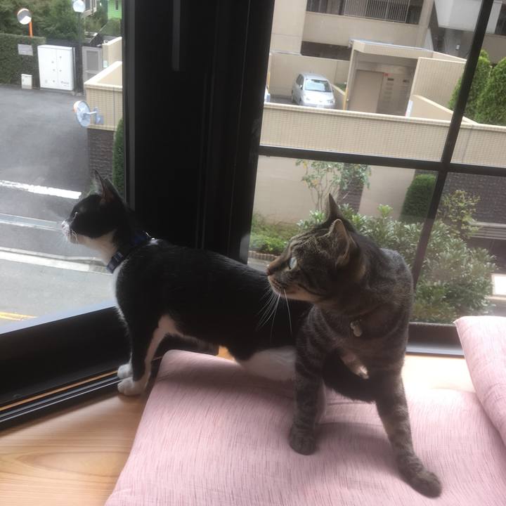 B516d33a 9067 4a84 bfff b4be3b08eb21 1509505996279