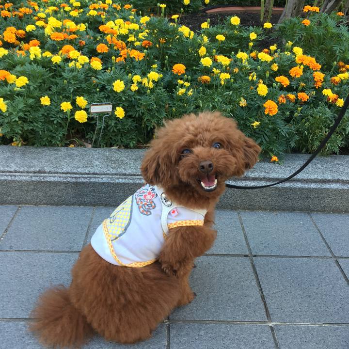 B516ff17 5438 40cc 88d7 2e8f9495084b 1534142557223