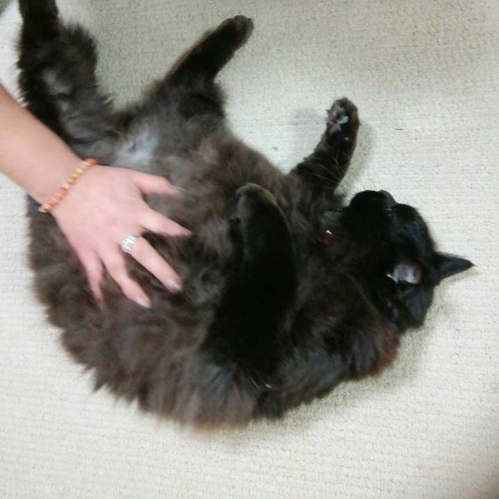 B517097d b842 41ca 89a1 c5b198b427e2 1516917688136