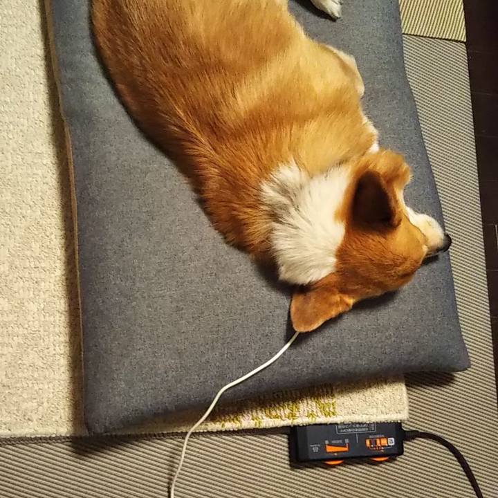 B51720dd 6852 4f88 bce0 e79c646ee8d1 1649252635282