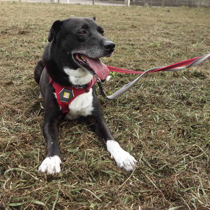 B5175444 4459 44a4 8841 21f1ebc7512f 1688084558815