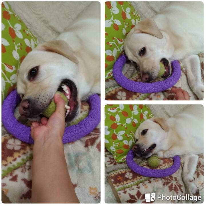 B5178aac 777c 433c a7b2 dc05680752d1 1538222423103