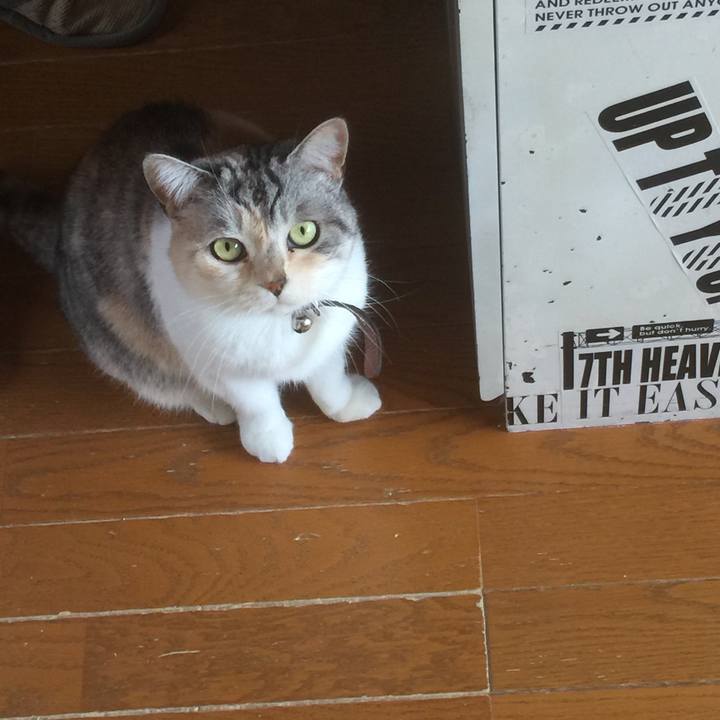 B5179e50 36f5 4c96 9bee 9ddc38083ba9 1556679707989