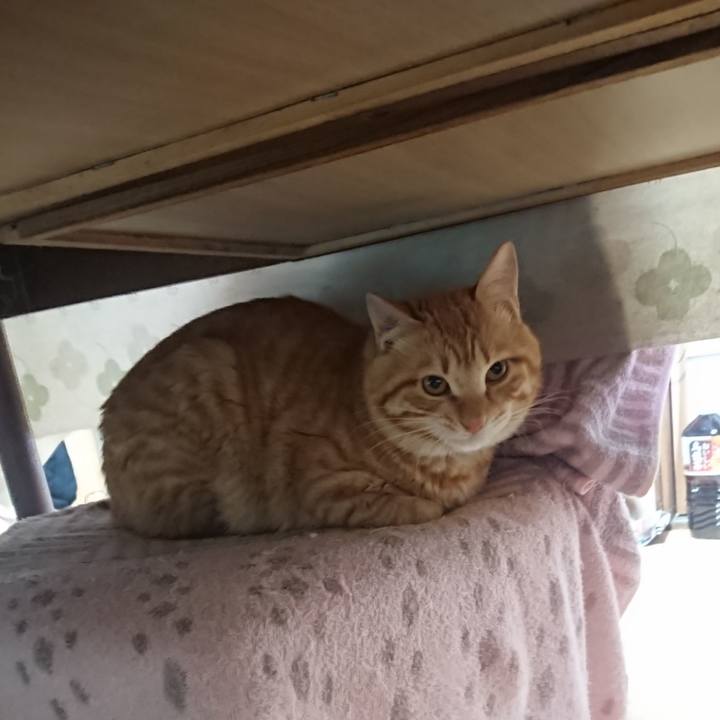 B517a615 22d1 41b9 adab ccf0375cfd68 1646949399908