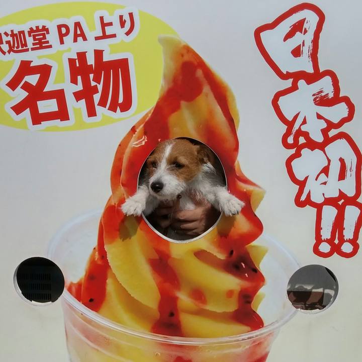 B517b4b9 b905 422b b67e 2d4a01262465 1537755527848