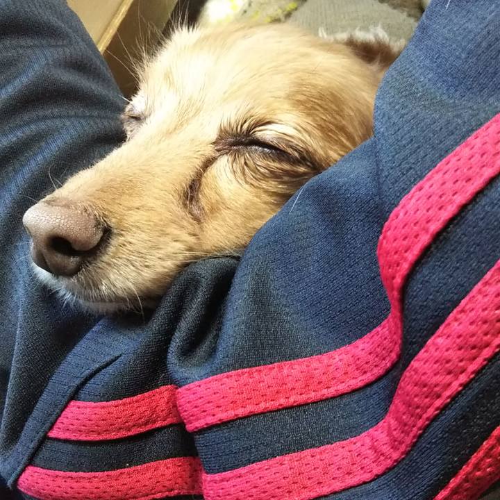 B517bdea 6d3c 4efb 96f3 b58ff7089cba 1577492734604