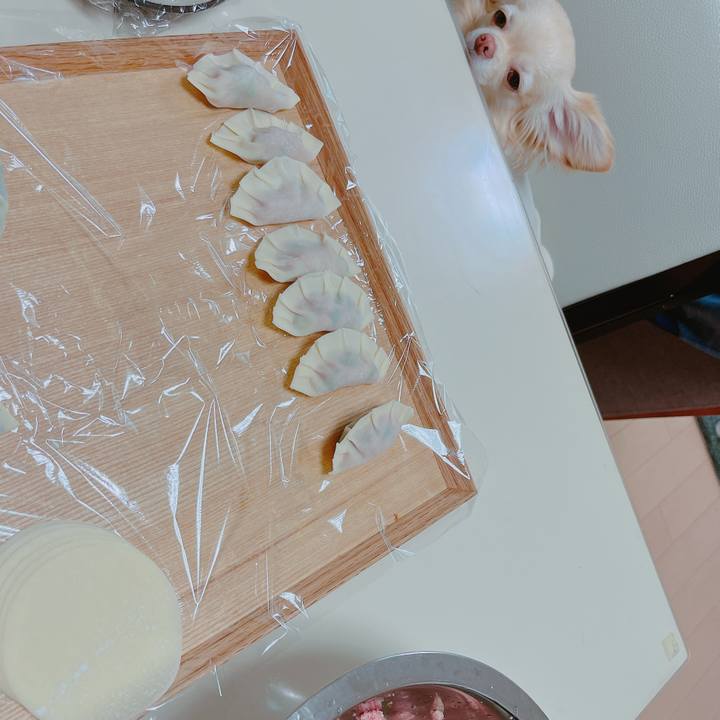 B517ce1e 40de 471e a1d4 b786e8823670 1651642894541