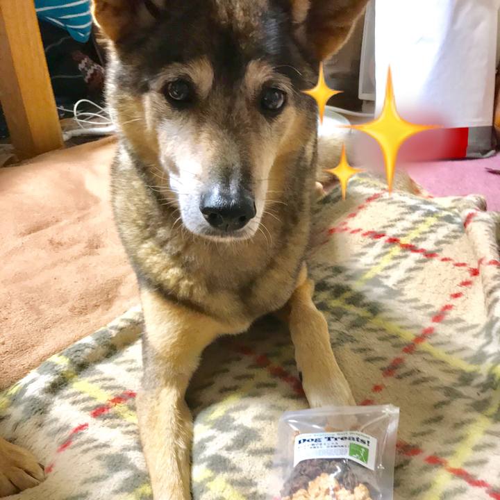 B517db81 c1b3 4db5 86ed 81002ebf1cf7 1539783284924