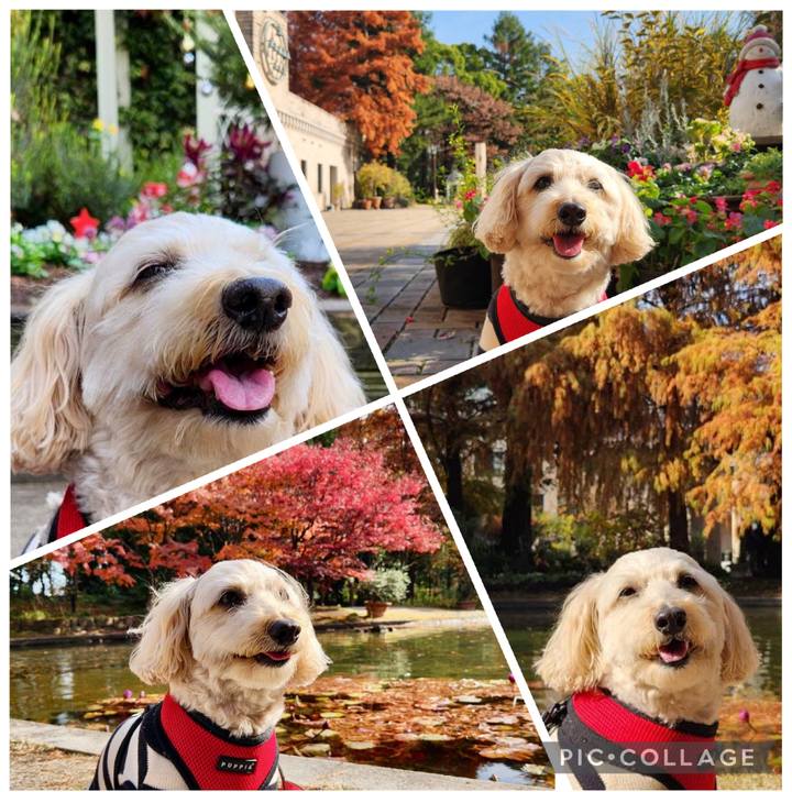 B5180045 71cf 49b9 8bd6 f9d3d603d15c 1764727424331