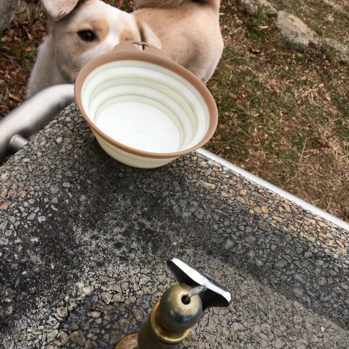 B51847e5 d769 4e7d 9e24 dd9e051f87af 1517094513560