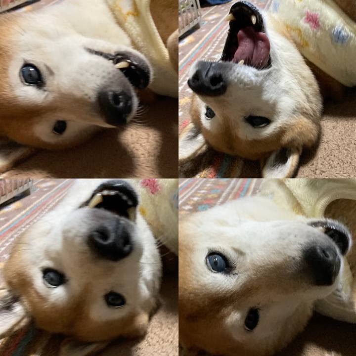 B5184917 f622 4aa6 9118 bc229a643fb6 1767959803796