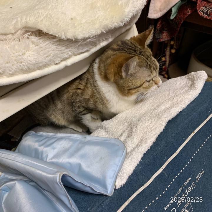 B5185dbe 43f1 4b08 a436 40e3be78427a 1677150471431