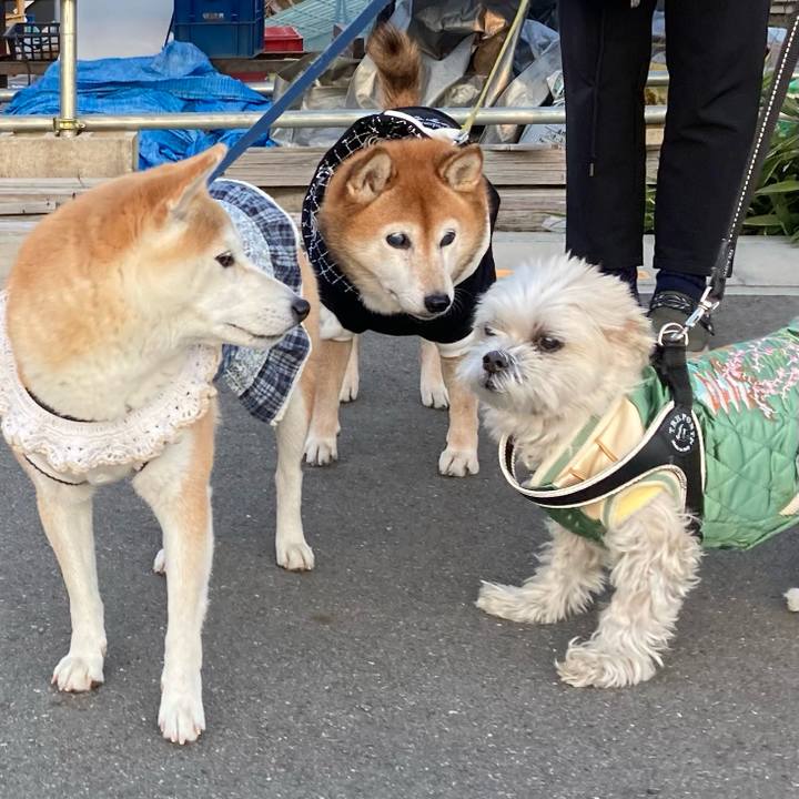 B51879d0 45b8 4e5c afe7 f72899ba4159 1703752516797