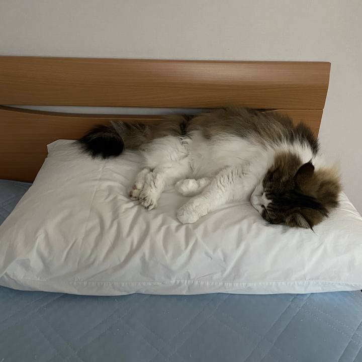 B518860e b56e 423f a49b ba092825235e 1719751186375