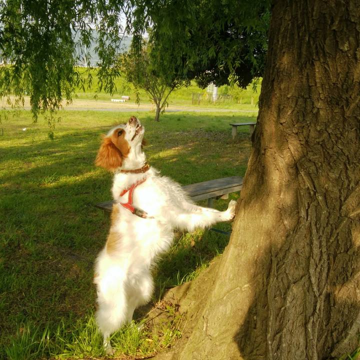 B518ab1e e281 4fa8 89d7 4a47f15dffda 1557487100894