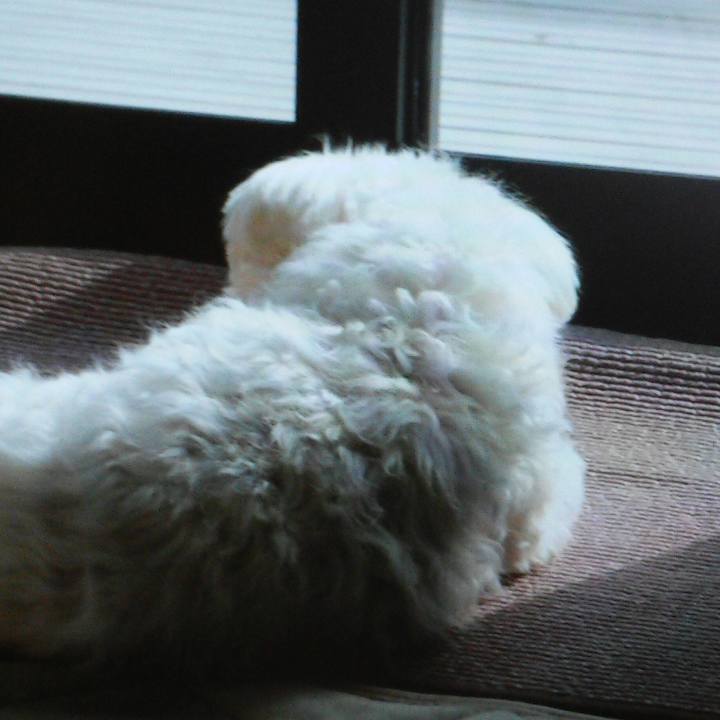 B518bc3c 3da4 4ff1 abfc 158123db33da 1508033465151