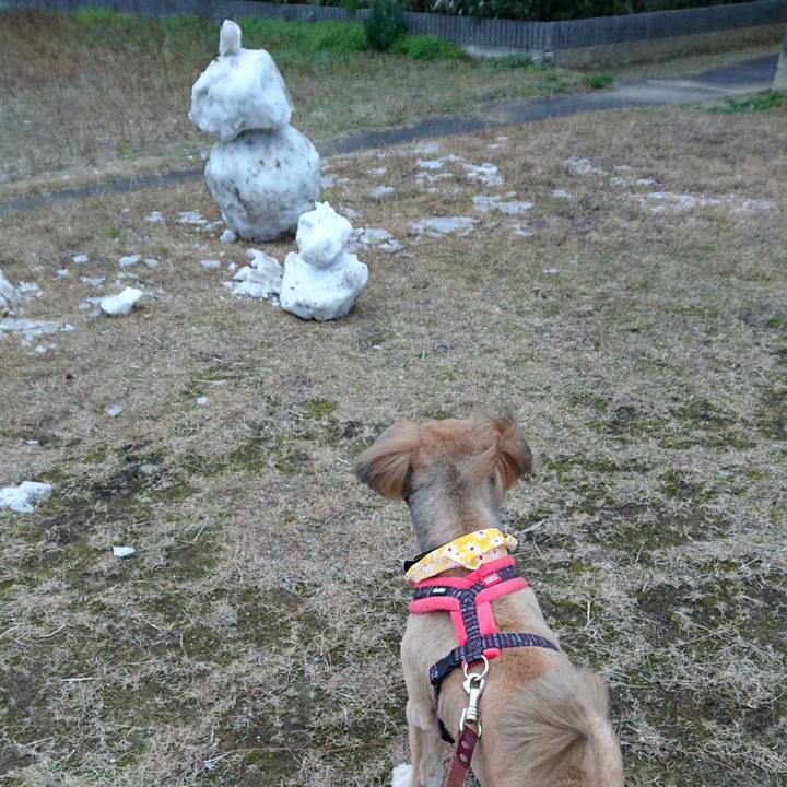 B518c30a 8731 457a a537 6e263f670553 1515658397047