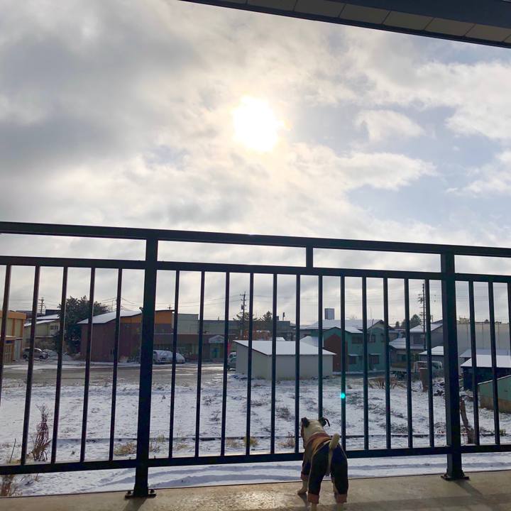 B5190780 ba16 47a6 8946 d085dd541a0a 1574986374031