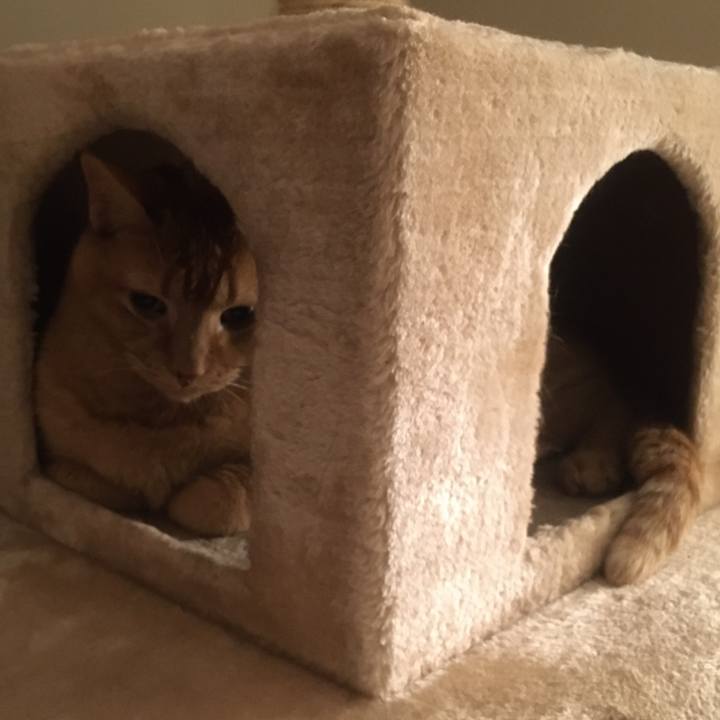 B519087e 101e 4440 96a2 f546aa104a1f 1632875459743