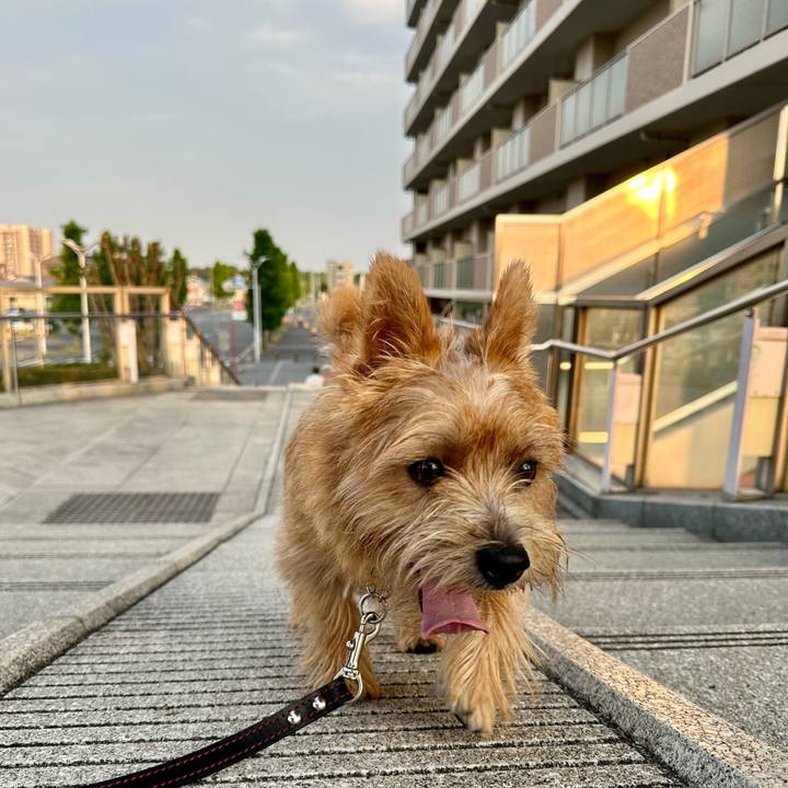 B51944ec 7c00 4b7c b5a5 a6fce456abfe 1723693482921