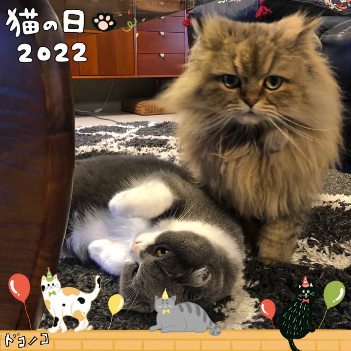 B5195725 f3fb 4e41 a6e8 0e6d286c6986 1645536801193