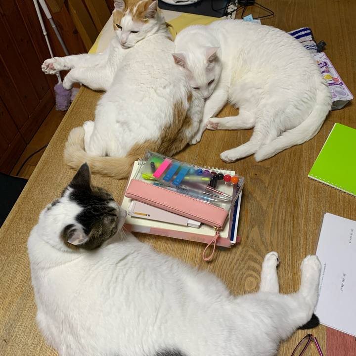 B519638a 969e 4530 8ddb e7a24bed9c81 1625065486557