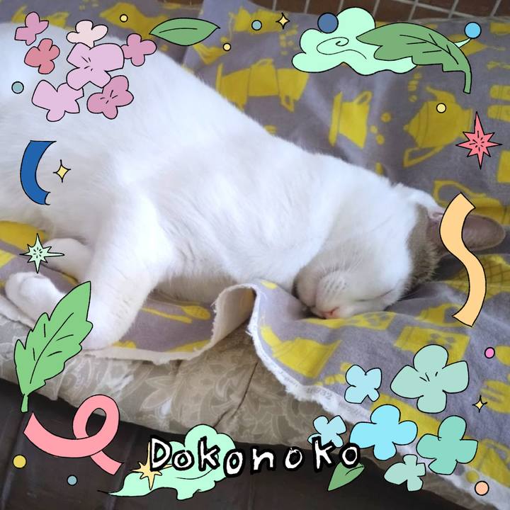 B5197682 0868 4f3f b805 7d7e2489dc58 1717821184624