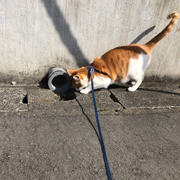 B519dbe7 95f7 4a28 a6cc ec2a782225f8 1553001059033