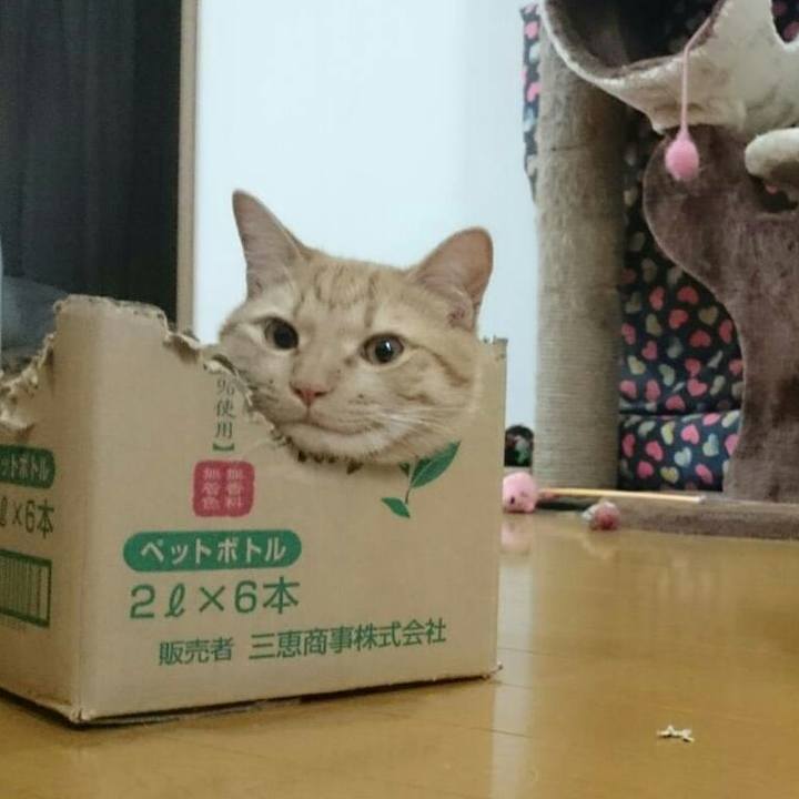 B51a02ed ee8c 45f2 975f 6499699e413a 1553377055706