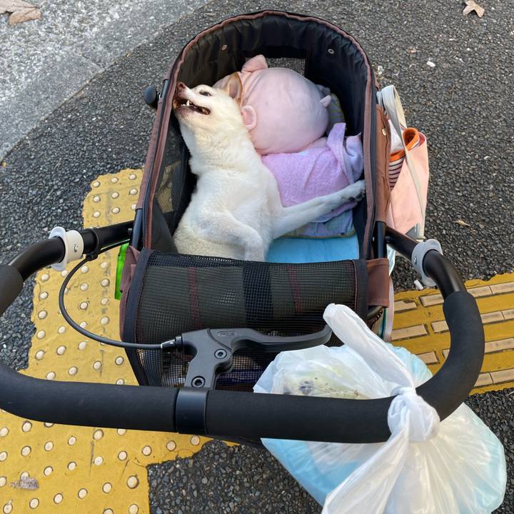 B51a04e9 9102 4aa0 888b 21f3637c5279 1666088321024