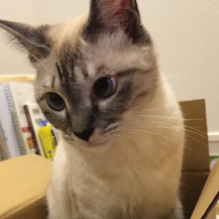 B51a26a9 f9be 4c9c 8e95 0bc5b684ae70 1567338438922