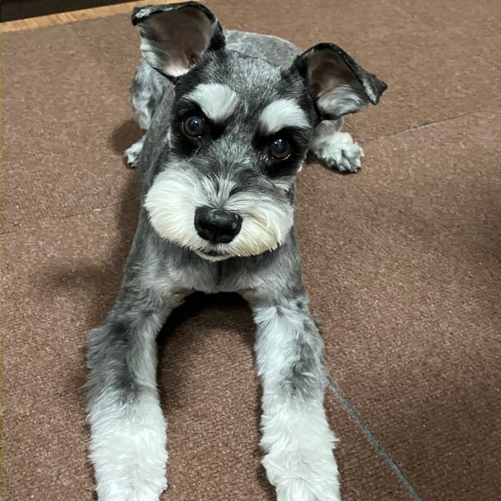 B51a2ad5 738e 4da6 8170 973854966ffc 1750854176868