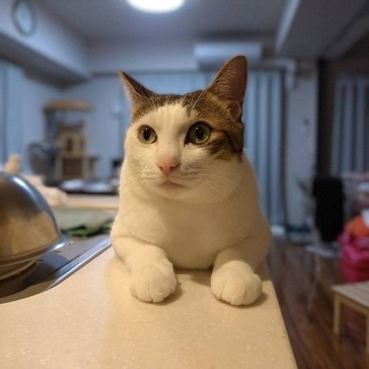 B51a770b 594d 45b3 8d0f b9f4a153d1a6 1762261861388