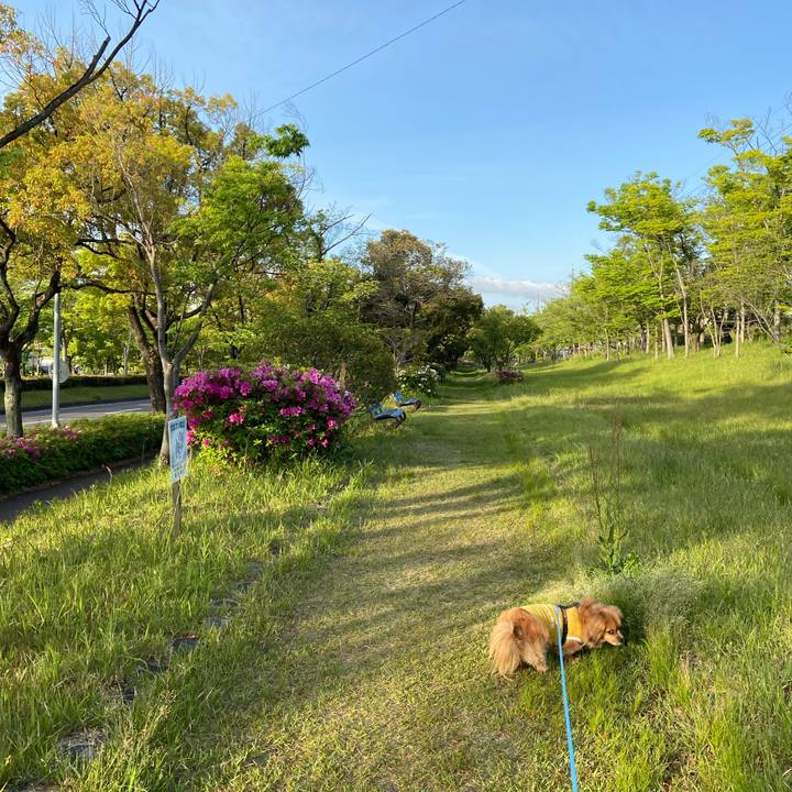 B51ad3ce 671b 4ac0 bf24 129afe44e5cb 1619473710835