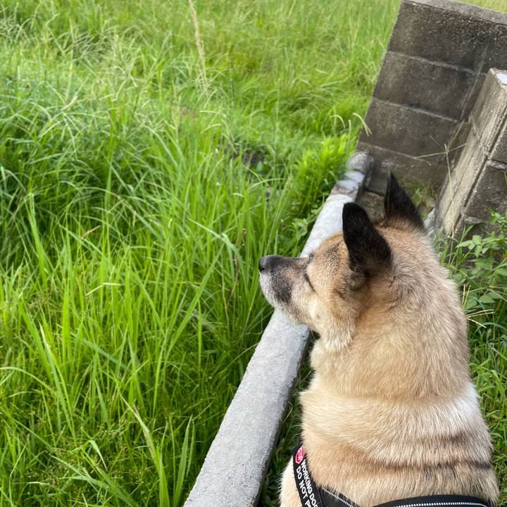 B51ae17a 63a5 4288 8ac7 a12619a820dc 1725367486148