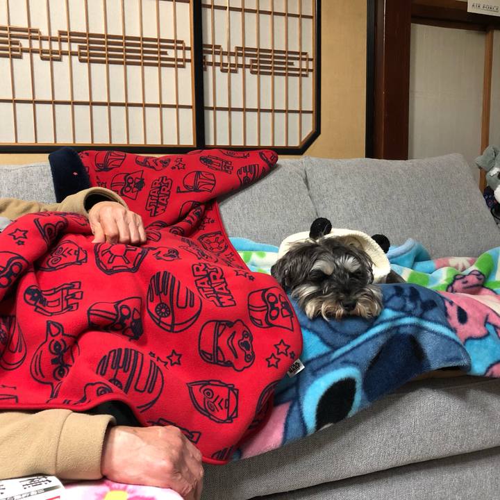 B51af8b4 bd28 4cd8 801e 73095c8f8bf0 1584374522998