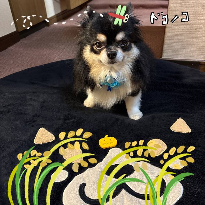 B51b33cf f143 4bd0 a887 4bb787e76ec4 1761220391118