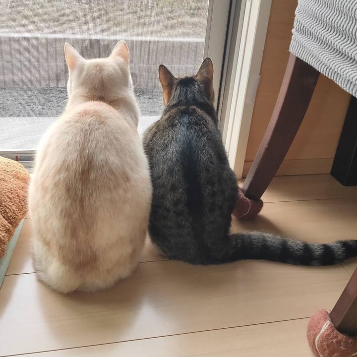 B51b4376 f1cb 4580 8058 9c97aa42d4ea 1677629669590