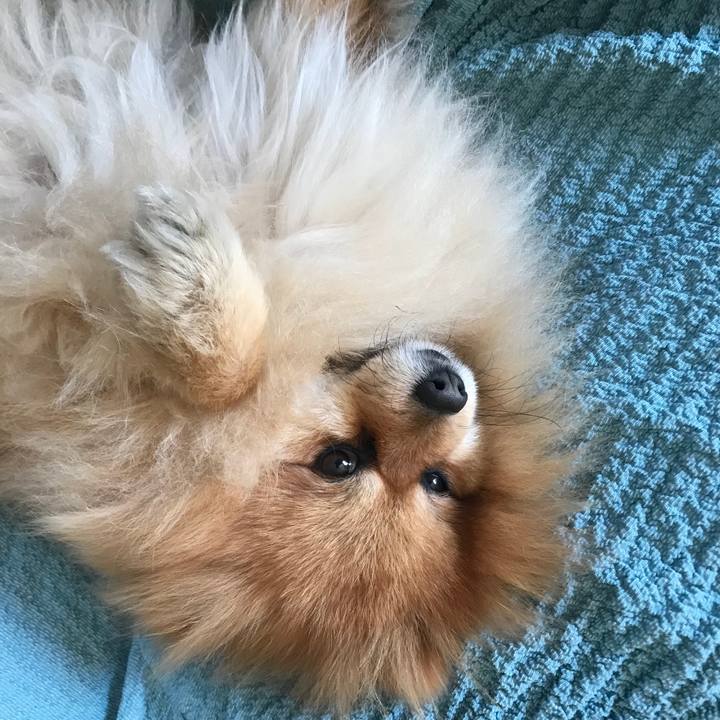 B51b70b4 9550 4d8f 9e18 5926b1e1eb5f 1518875213855