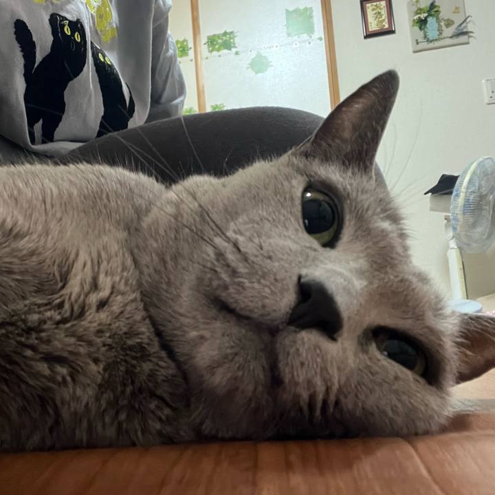 B51bae07 9051 44e9 935d 84afc353fc17 1751459233549