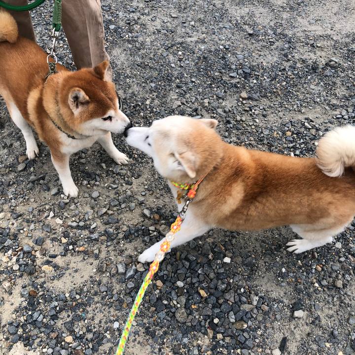 B51bd07e 80c2 4672 9d17 6332c00c41f4 1600906187707