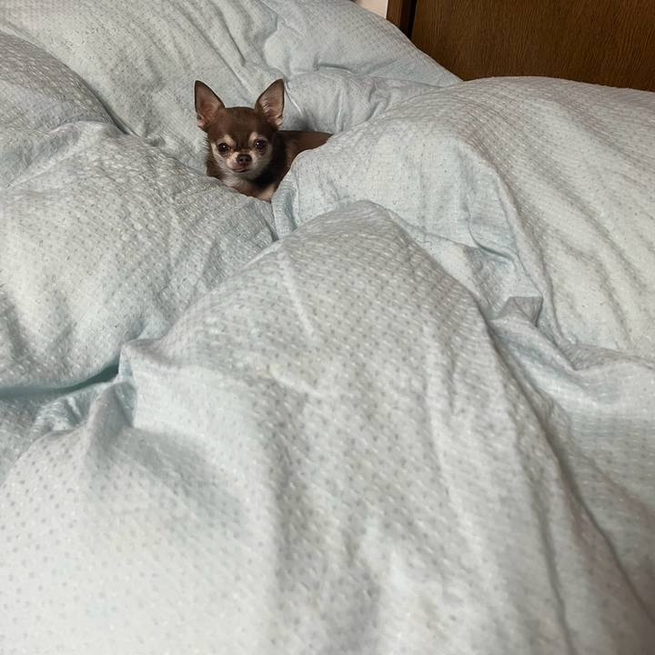 B51bdc9f 9fe6 4327 992d a9d8d48b223d 1732065552998