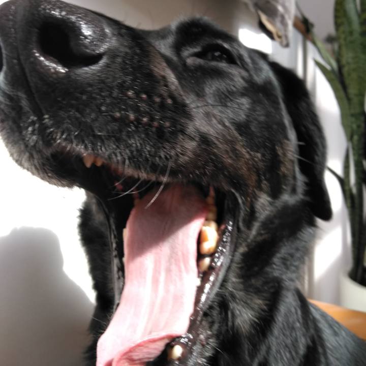 B51c0155 cf82 4d6a b093 54e23d4ee224 1582165903400