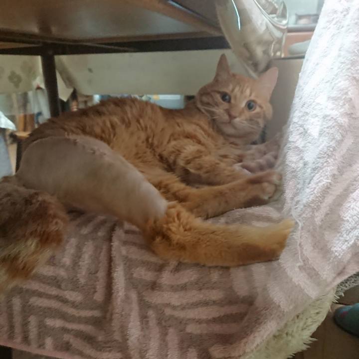 B51c7ea7 f508 4d67 92c4 bdb9553a3edd 1654466666292